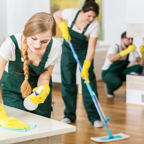 Rental Property Cleaning
